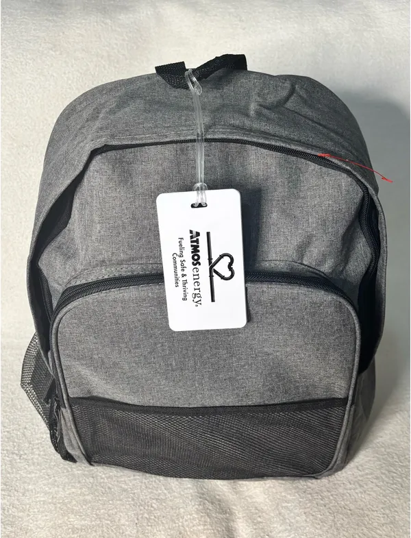 Lightweight Gray Backpack NWT Compartment Daypack For School Work Travel - Image 4