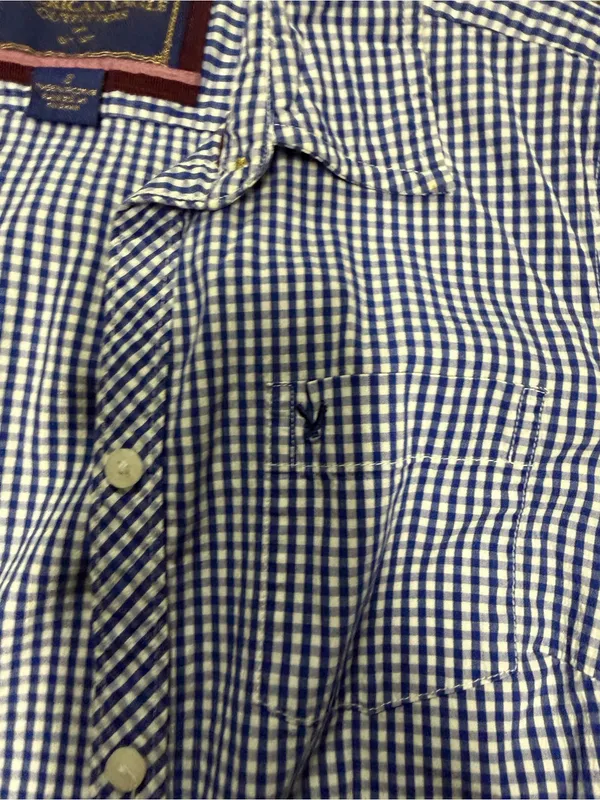 American Eagle Outfitters Blue Gingham Button-Down Shirt - Image 5