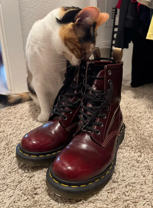 Dr. Martens Boots - Image 7
