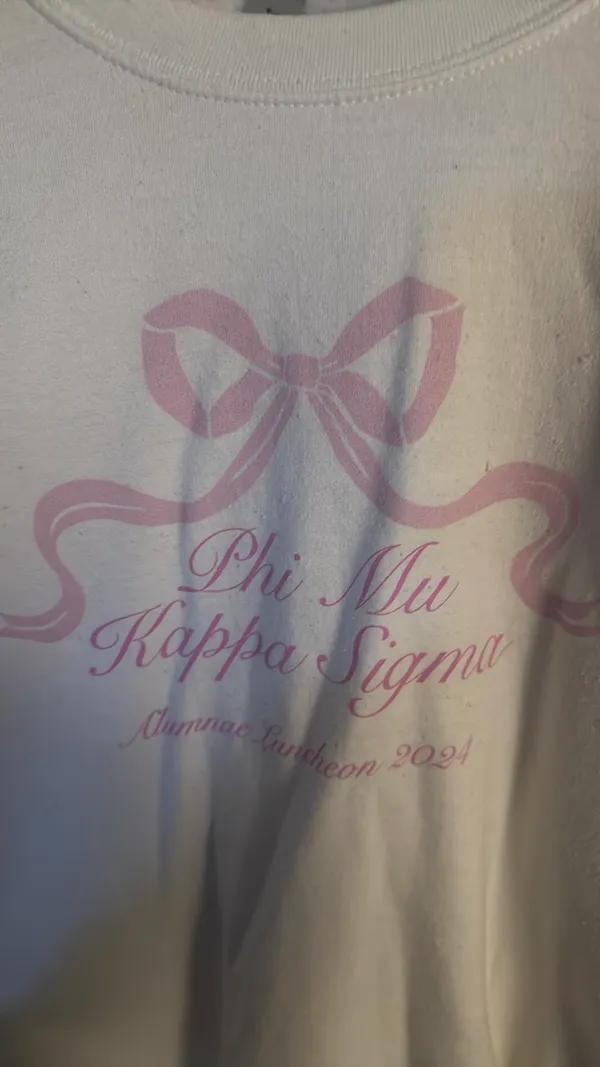 Phi Mu Gildan Sweatshirt - Image 3