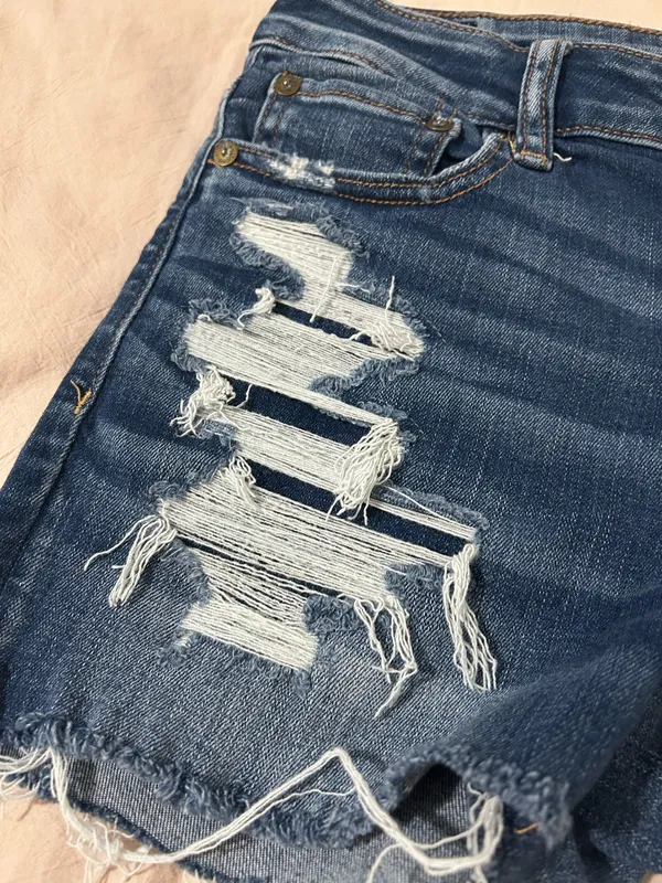 American Eagle Shorts - Image 4