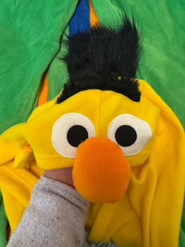 Spirit Halloween Bert from Sesame Street Costume Onesie - Image 3