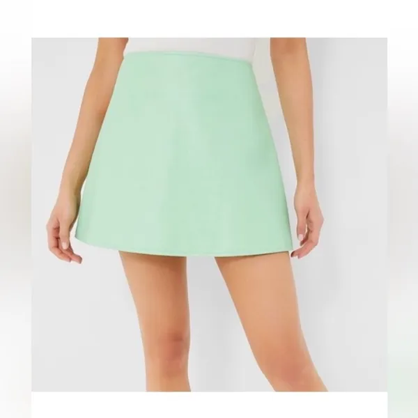 Tuckernuck Meg Mini Skirt S Mint Green Faux Leather A-Line NWT Preppy - Image 3