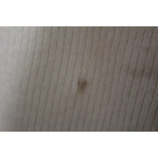 Womens Abercrombie & Fitch Cream Ribbed Knit Long Sleeve V-Neck Sweater Size XS - Image 5