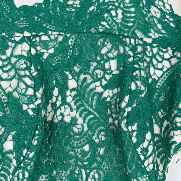 Moulinette Soeurs Anthropologie Green Lace Cream Fit & Flare Dress‎ Size 6 - Image 4