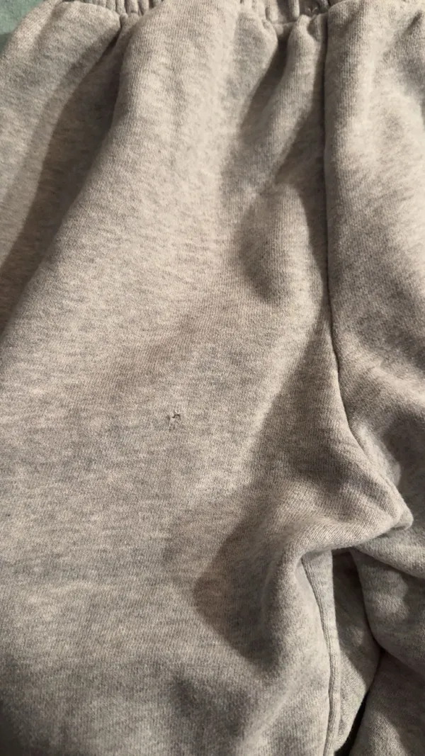 John Galt Brandy Melville Sweatpants Grey Rosa - Image 2