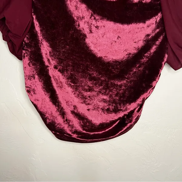 Intimately Free People Midnight Mood Velvet Burgundy Ruched Puff Sleeve Crop Top - Image 6
