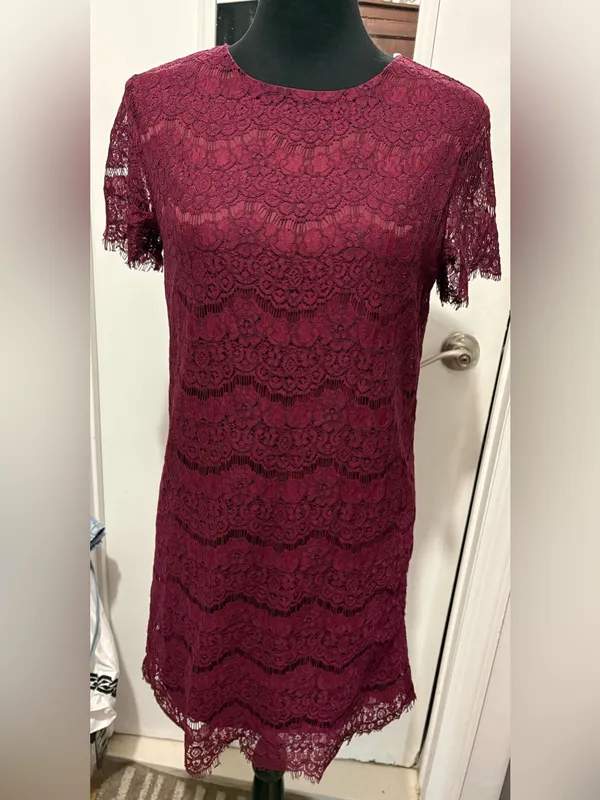 Lulu's Burgundy Lace Mini Dress - Image 4