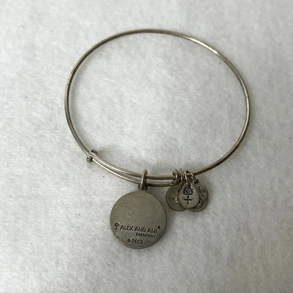 Alex and Ani Silver It Is What It Is Charm Bangle Bracelet - Image 3