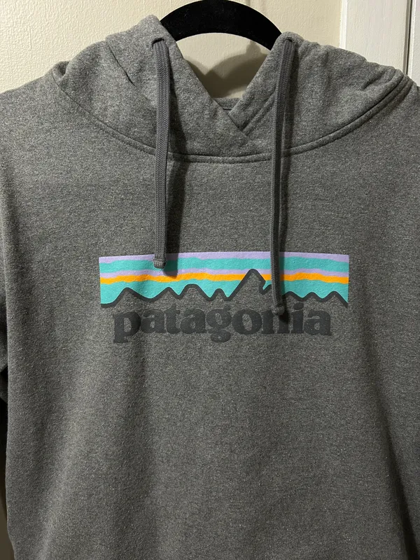 Patagonia Hoodie - Image 2