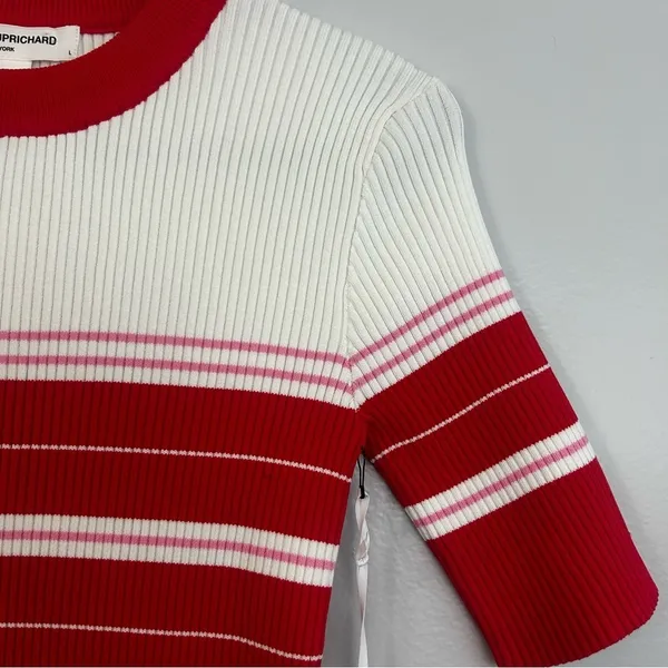 NWT Amanda Uprichard Red/Pink Ribbed Striped Short Sleeve Bodycon Mini Dress Lrg - Image 5