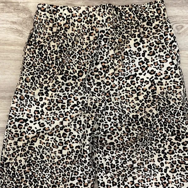 Urban Outfitters Leopard Print Elastic Waist Zip Front Straight Leg Pants XS - Image 2