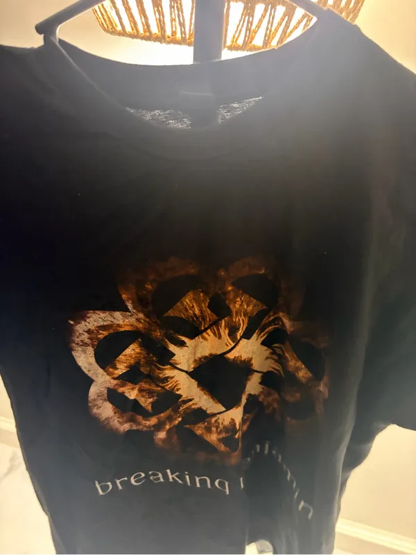 Tultex Breaking Benjamin Black Short-Sleeve Graphic Tee with Burnt Orange Emblem - Image 3