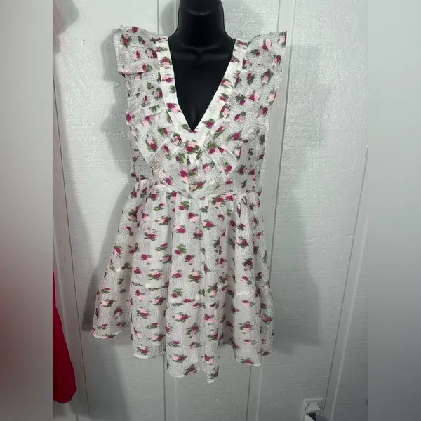 BUDDY LOVE Womens Maddison Ruffle Sleeves Short Dress Size Small EUC - Image 2