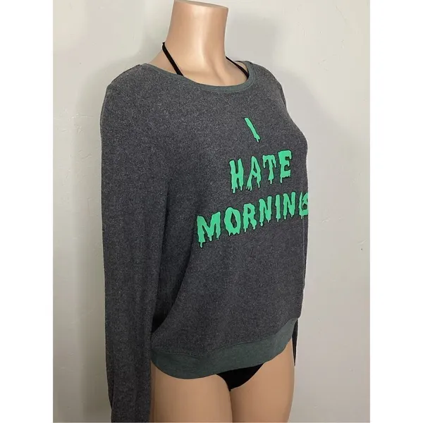 New. WILDFOX baggy beach jumper. Retails $99. X-Small - Image 4