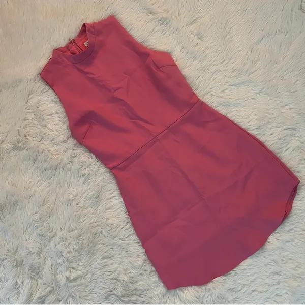 TCEC Sleeveless Pink Mini Dress Women’s Small – Lined, Hidden Back Zipper - Image 4