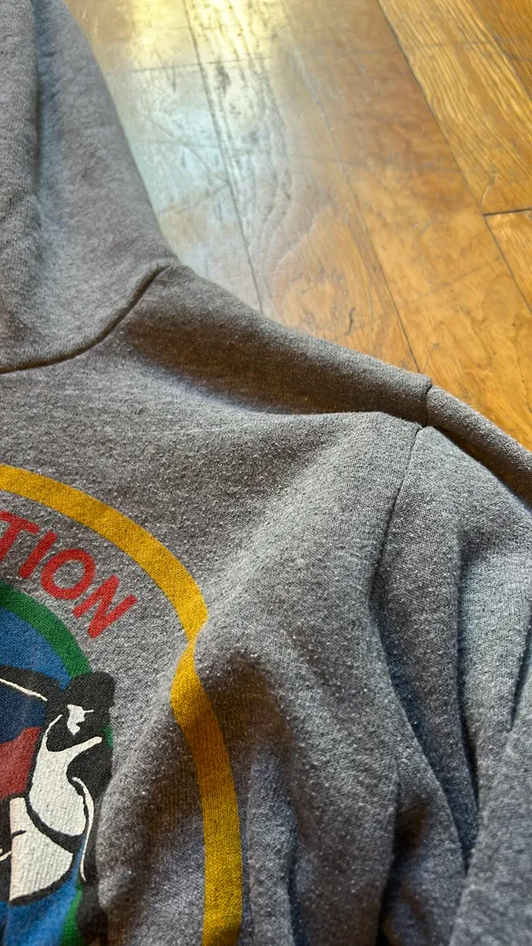 Aviator Nation Grey Hoodie - Image 4