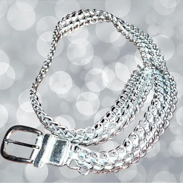 Nwot! Silver chain link look metal/faux leather belt! - Image 6