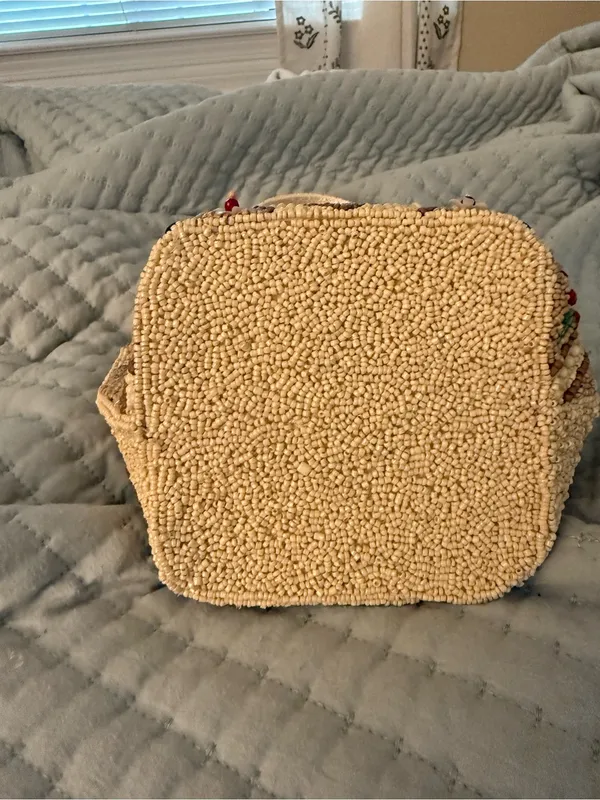 Viral TJ Maxx Beaded Fall Pumpkin Bag in Cream and Orange - Image 3