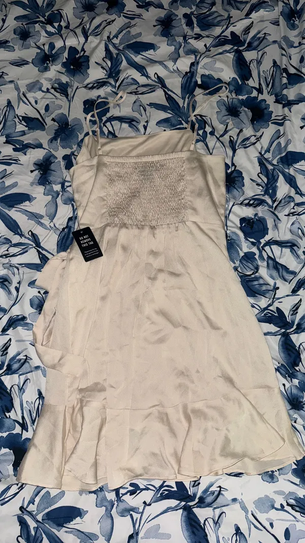 Express Champagne Dress - Image 2