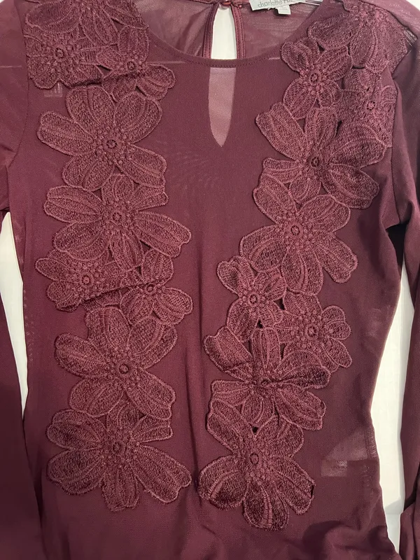 Charlotte Russe Sheer Deep Red Long Sleeve Top - Image 2