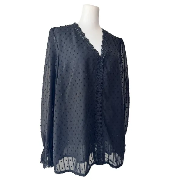 Black Semi-Sheer Swiss Dot V-Neck Relaxed Fit Long Sleeve Blouse - Image 4