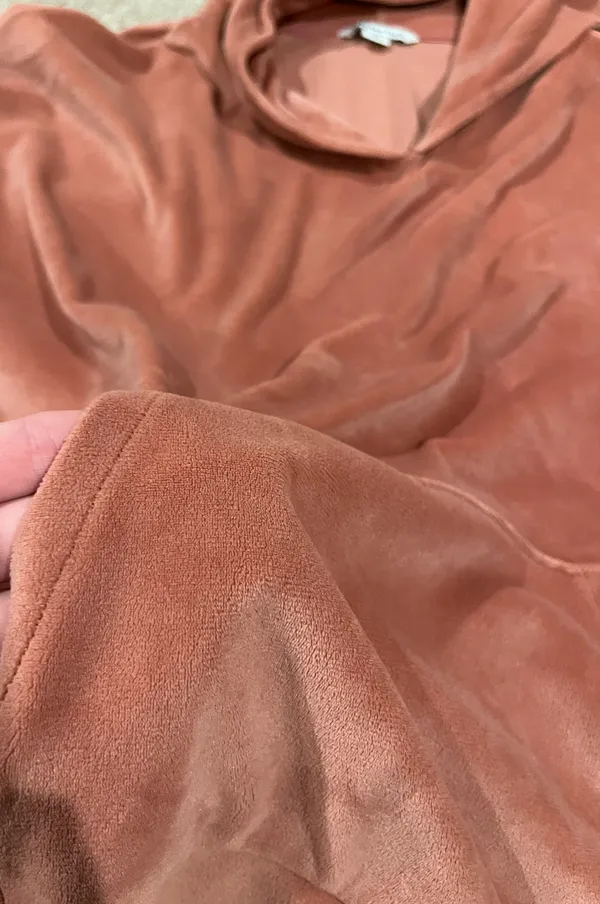 American Eagle Outfitters Pink Velvet Hoodie - Image 4