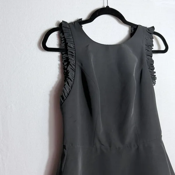 Alexis Black Ruffled Trim Sleeveless Open Back Fit & Flare Mini Dress Size L - Image 4
