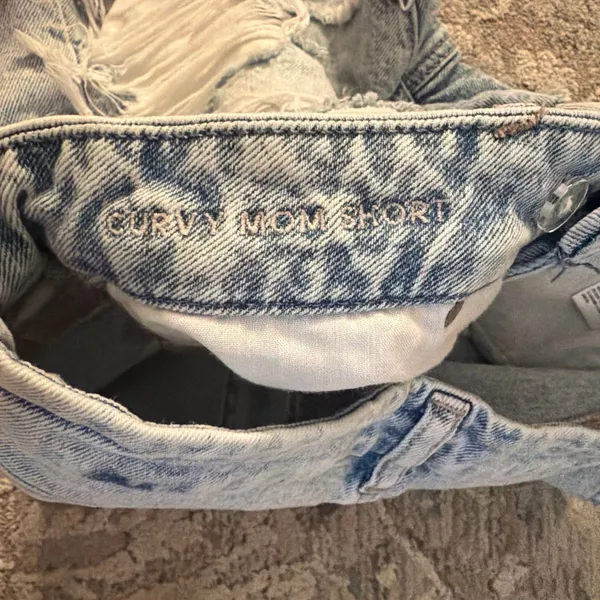 American Eagle Shorts - Image 4