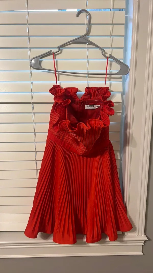 AMUR red mini dress - Image 3