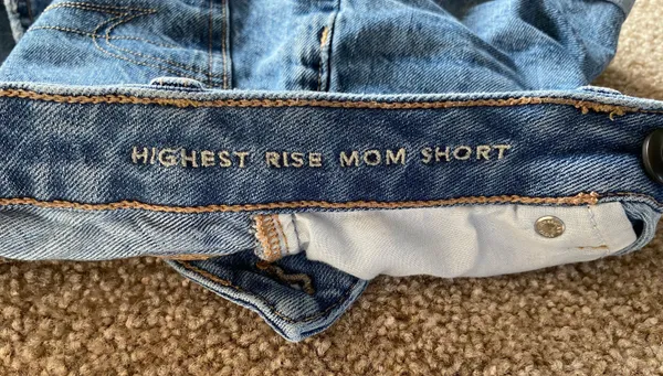 American Eagle Outfitters Mom Shorts - Image 3