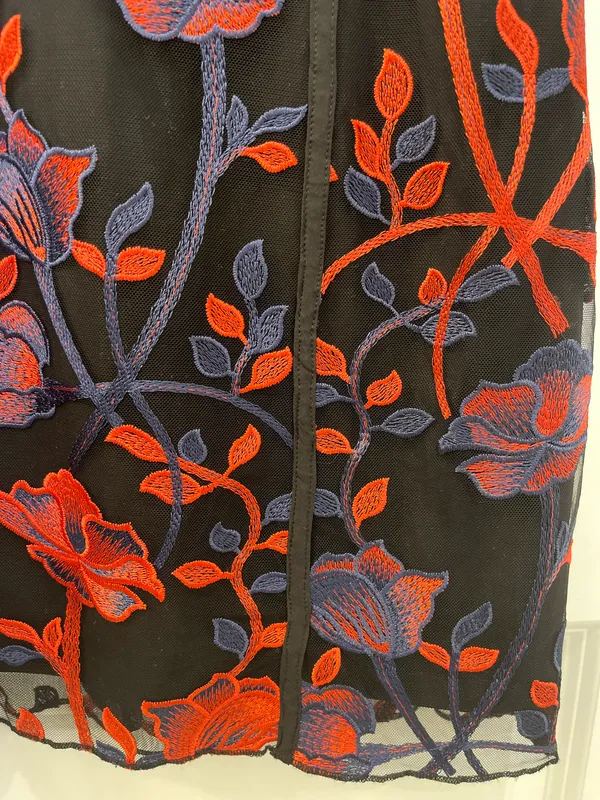 Tobi Lace Embroidered Dress - Image 4