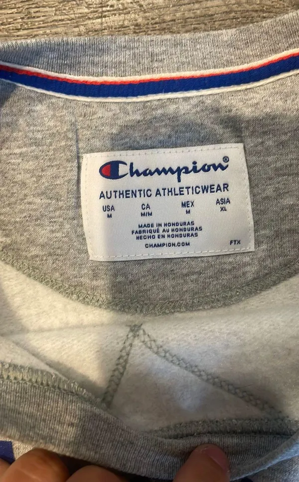 Champion Gray Crewneck - Image 2
