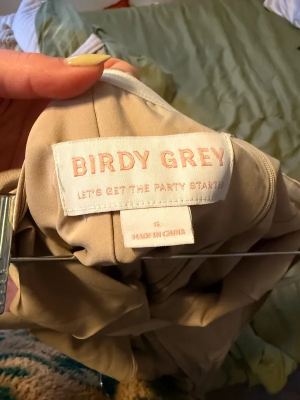 Neutral Champagne Birdy Grey Monique Matte Satin Dress - Image 5