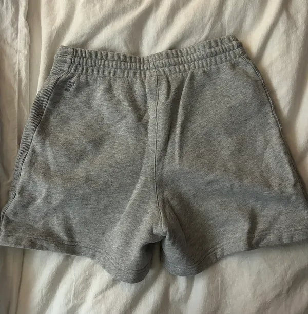 Aritzia Shorts - Image 2