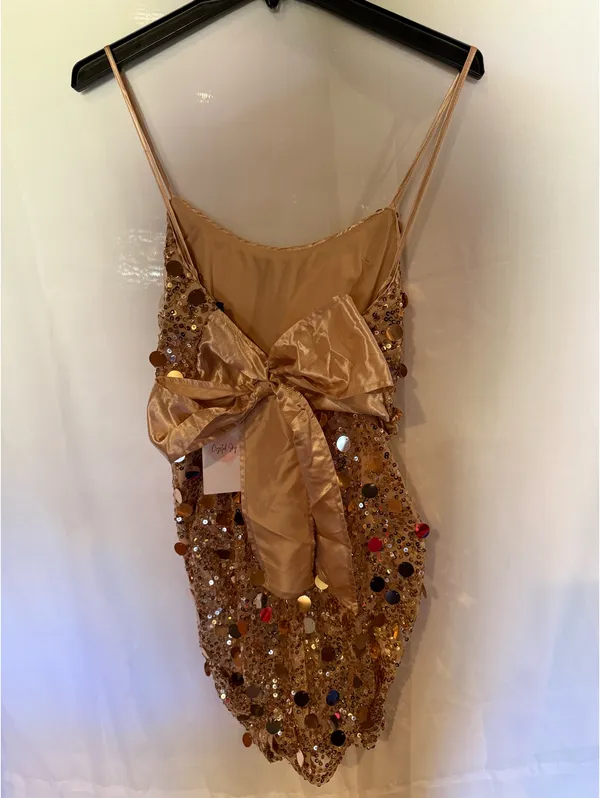 Crystal Sky TJ Maxx Dress - Image 2