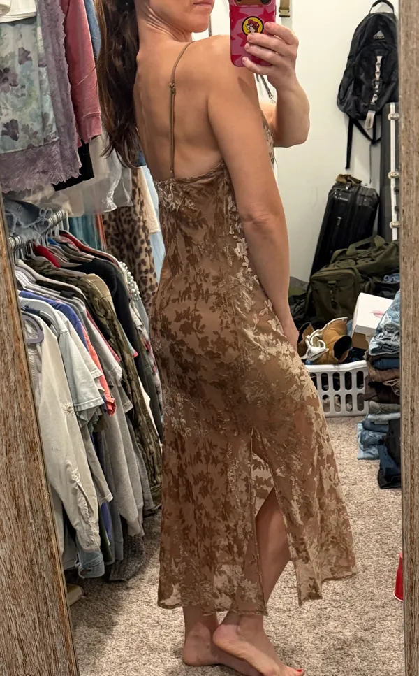 Vici Velvet Burnout Dress - Image 2