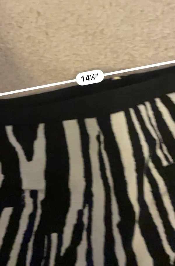 H&M Zebra Print Mini Skirt - Image 4