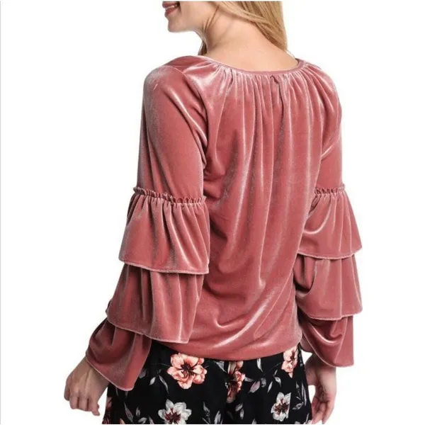 MISA‎ Los Angeles Harlow Top Dusty Rose Velvet Ruffle Sleeve Tassel Blouse Small - Image 2