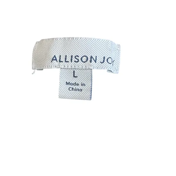 Allison Joy Evereve Multi Striped V-Neck Sweater Womens Colorful Knit Pullover - Image 5