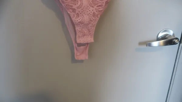 Victoria's Secret lacey illusion top mesh sexy lingerie bodysuit in pink. - Image 5