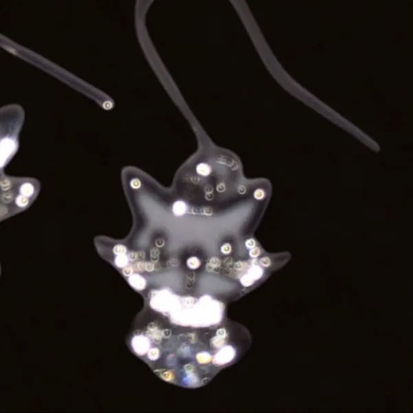 Cute silver little kitty cat earrings Silver - Image 3