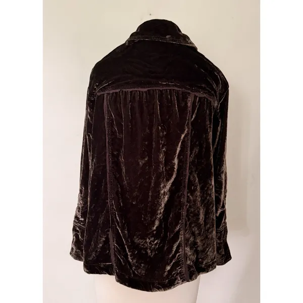 Free People Marianne Velvet Shirt Midnight Brown Dark Academia Gothic Blouse XS - Image 3