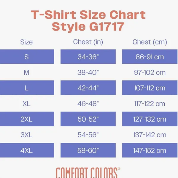 Comfort Colors Adult Heavyweight Short Sleeve Tee - Image 4