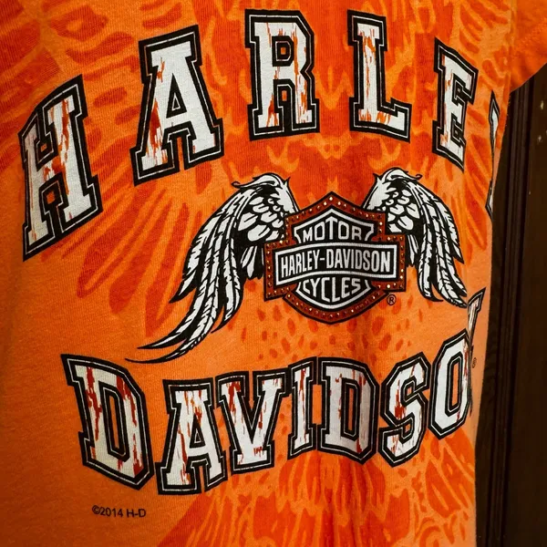 Harley Davidson Y2K Graphic V Neck T-Shirt‎ S Biker Moto Burnout Rhinestone - Image 8
