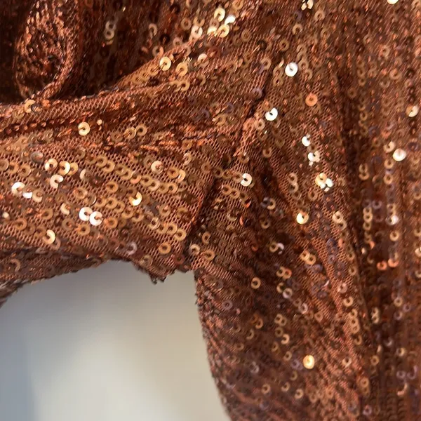 Free People Morelia Sequin Joggers in Copper Festival Western Boho Medium - Image 6