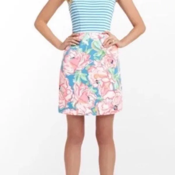 Lilly Pulitzer Lucky Charm Combo Blue Stripe Julianna Dress Medium TINY SPOT - Image 4