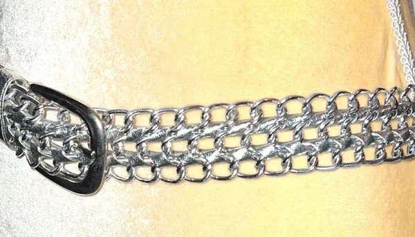 Nwot! Silver chain link look metal/faux leather belt! - Image 3