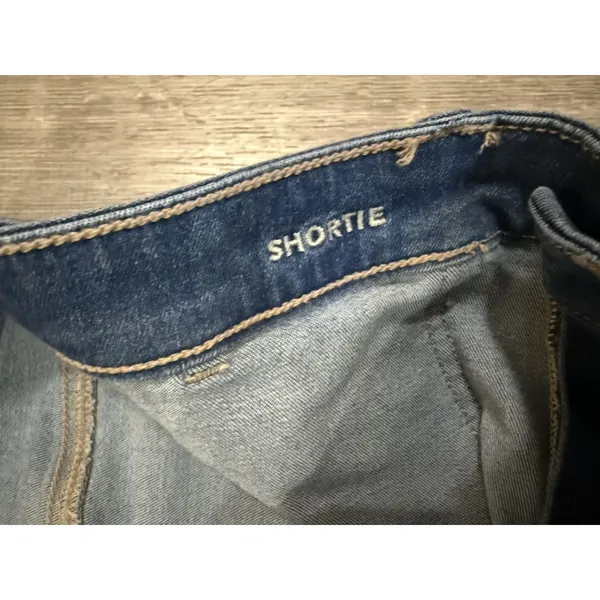 Women's American Eagle Next Level Stretch Shortie Denim Shorts Sz 10 - Image 4