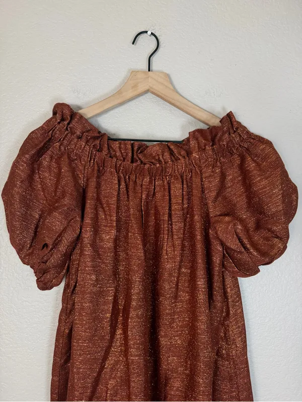 Sézane Tamara Dress in Bronze size 34 US 2 NEW $245 - Image 11